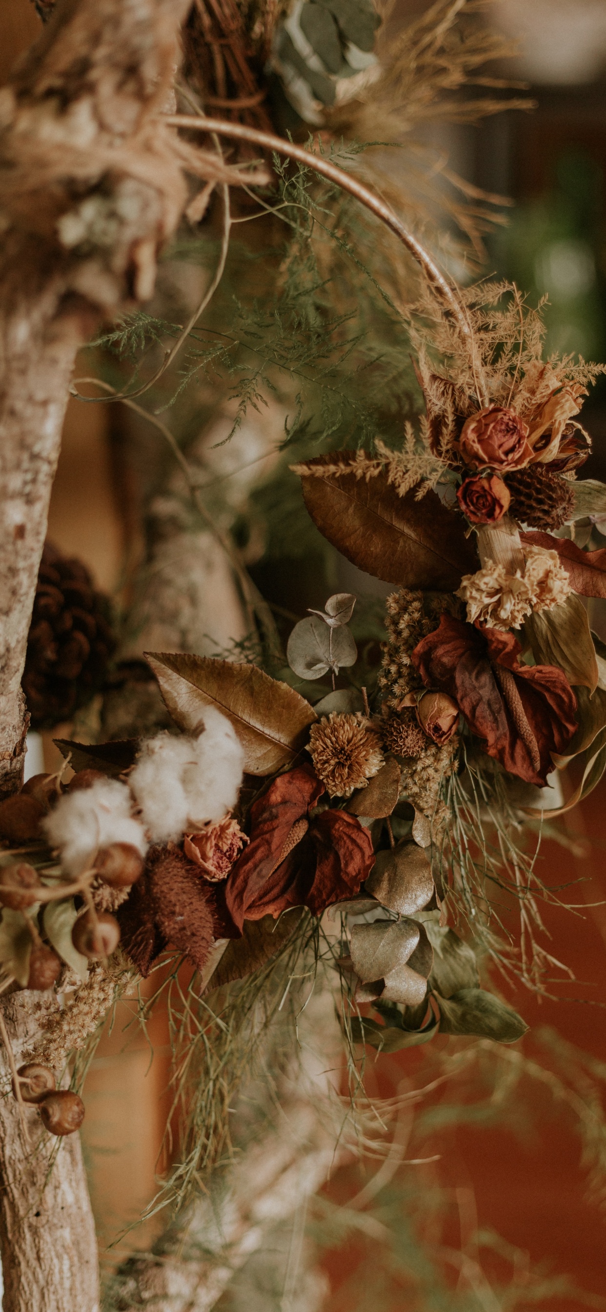 Rote Und Weiße Blume Auf Braunem Baum. Wallpaper in 1242x2688 Resolution