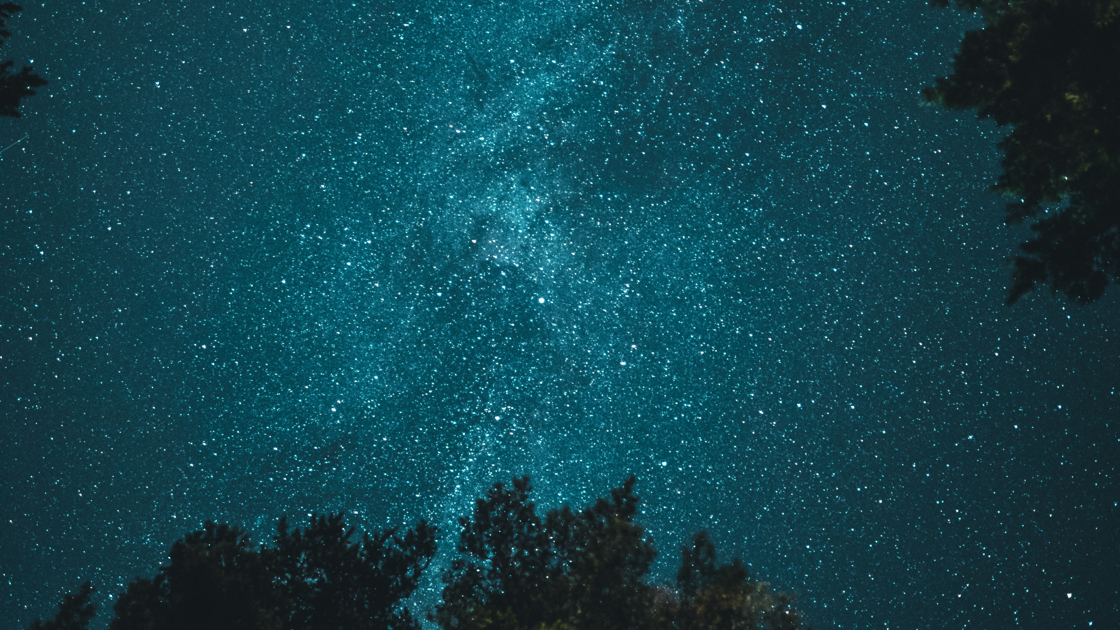Árbol Bajo el Cielo Nocturno, Estrella, Ambiente, Ecorregión, Paisaje Natural. Wallpaper in 3840x2160 Resolution