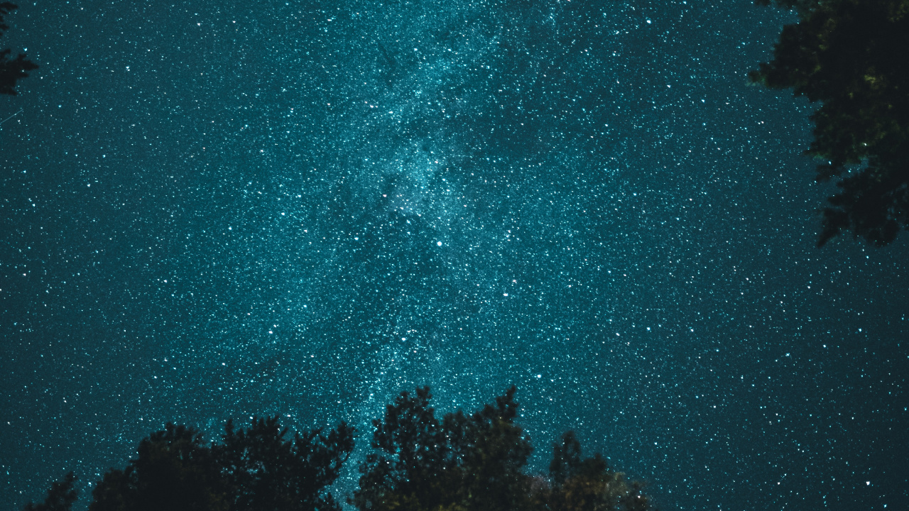 Tree Under Night Sky, Tree, Night, Star, Atmosphere. Wallpaper in 1280x720 Resolution