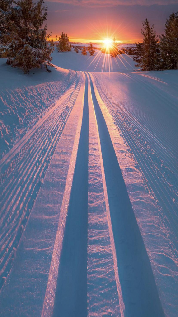 Neige, Hiver, Paysage Naturel, Surface de la Route, Ligne. Wallpaper in 750x1334 Resolution