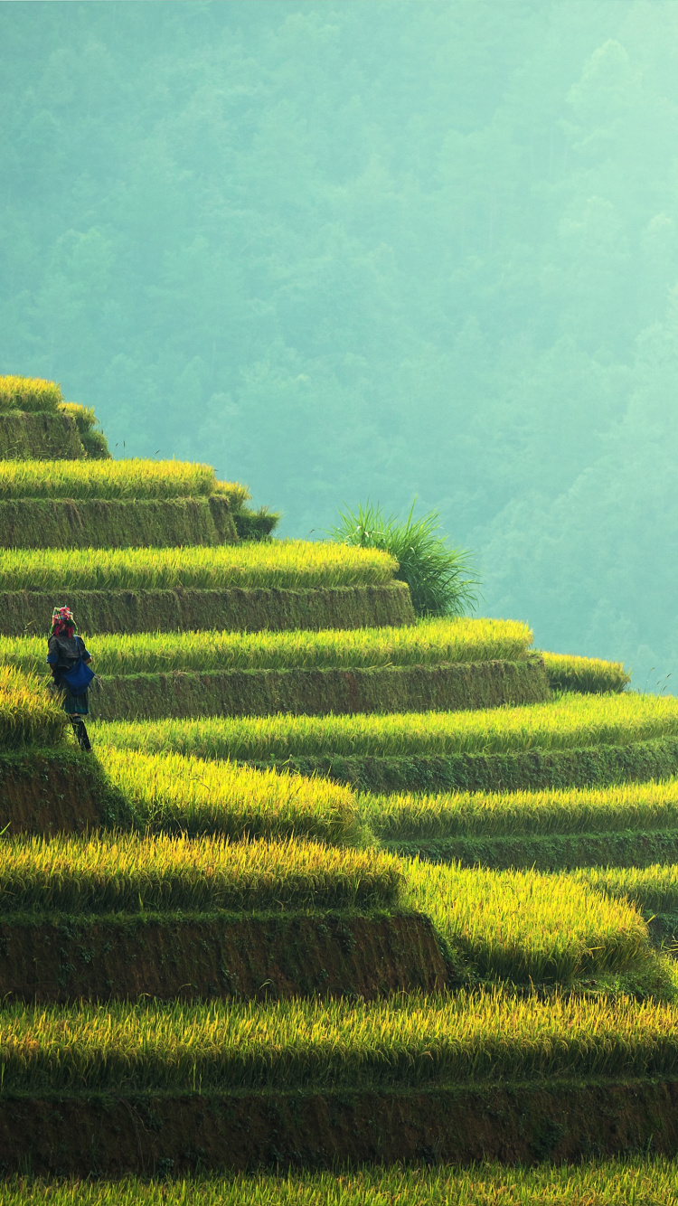 Person in Black Jacket Walking on Green Grass Field During Daytime. Wallpaper in 750x1334 Resolution