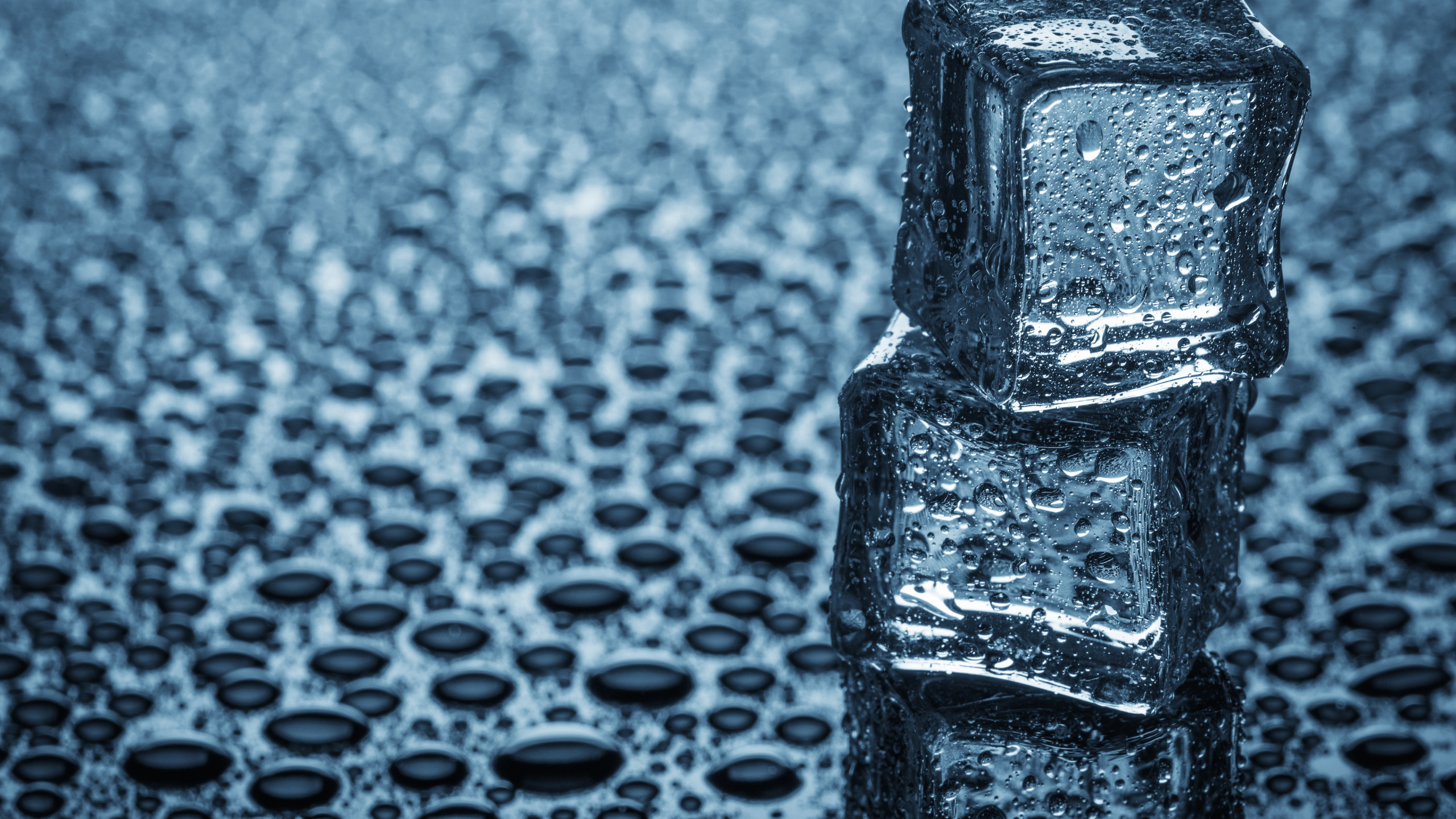 Wasser, Fehlverhalten, KFZ-Reifen, Rechteck, Electric Blue. Wallpaper in 2560x1440 Resolution