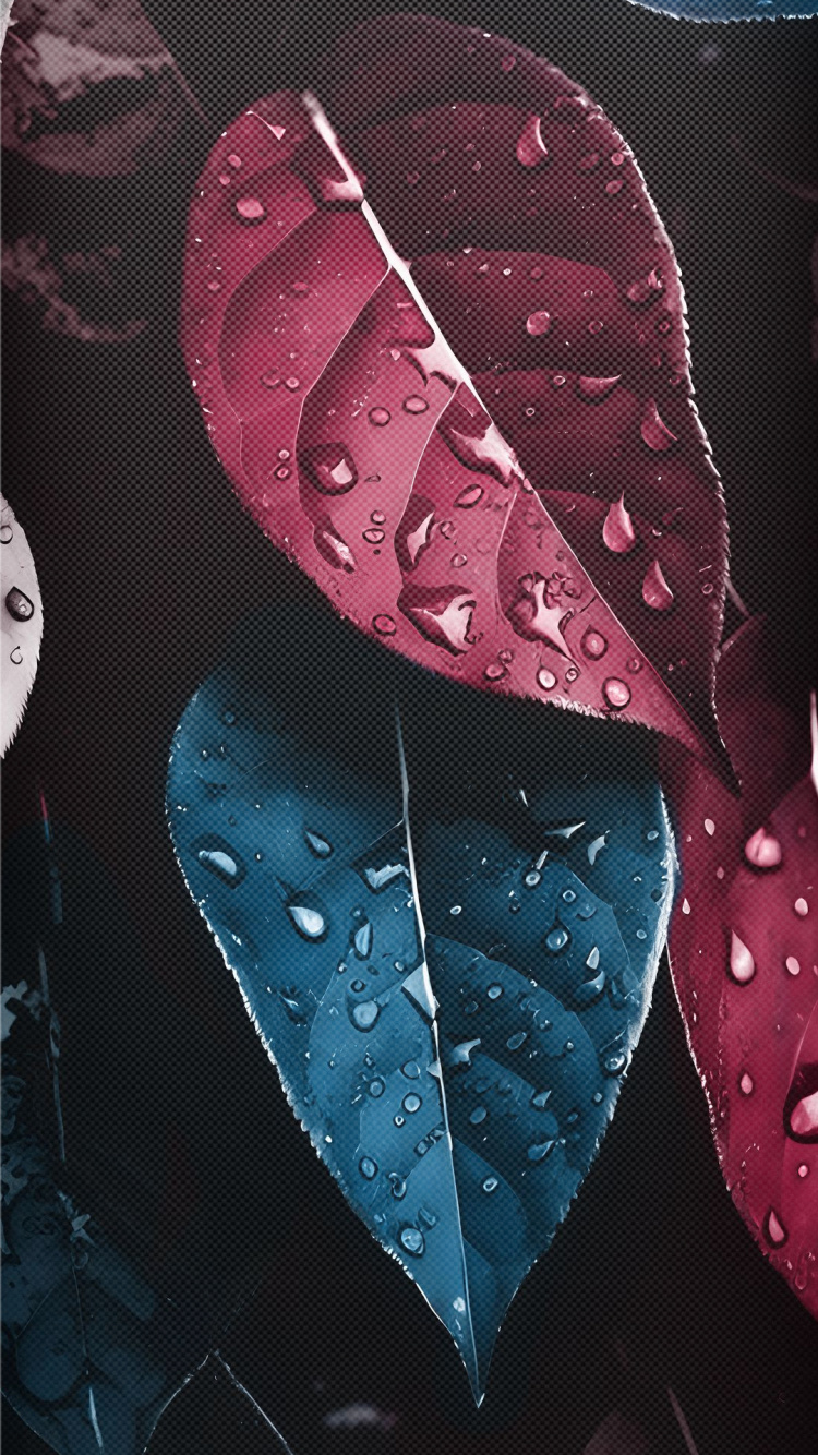 Pattern, 2024, Water, Plant, Liquid. Wallpaper in 750x1334 Resolution