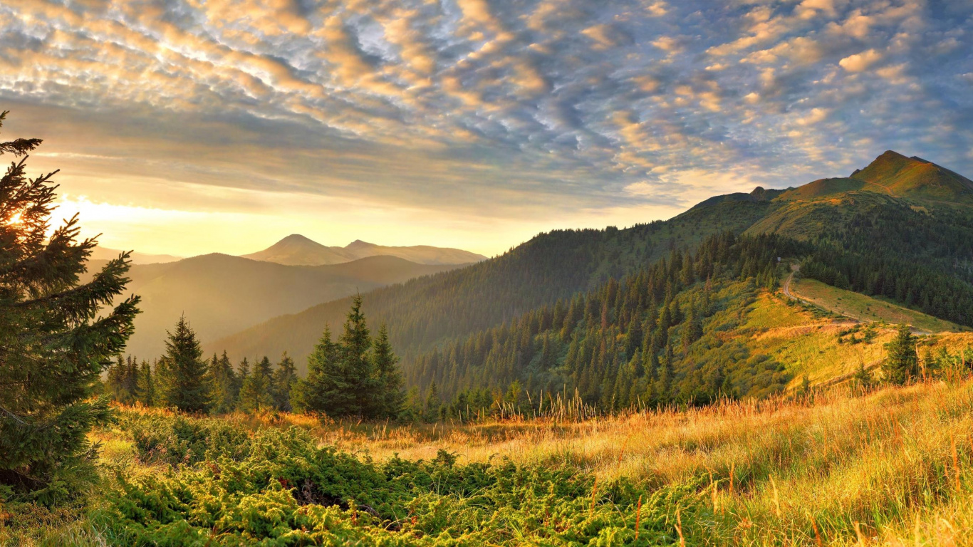 Green Grass Field Near Green Trees and Mountains During Daytime. Wallpaper in 1366x768 Resolution