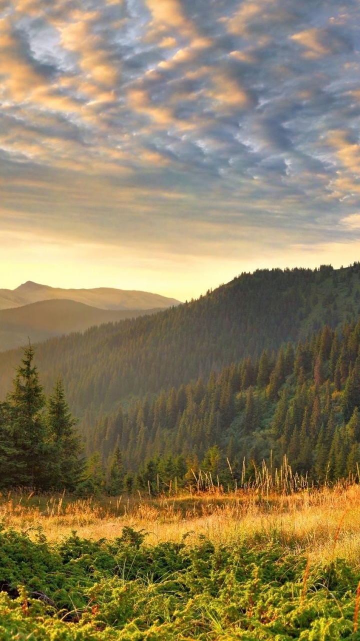 Green Grass Field Near Green Trees and Mountains During Daytime. Wallpaper in 720x1280 Resolution