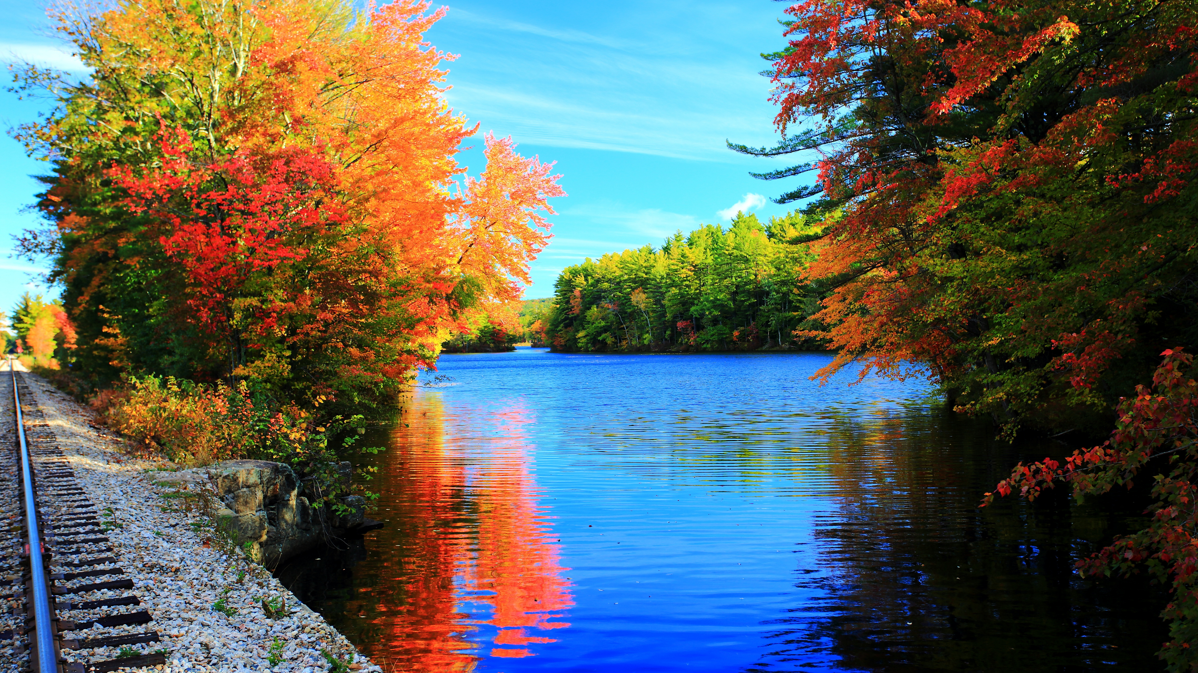 Red and Green Trees Beside Body of Water During Daytime. Wallpaper in 3840x2160 Resolution