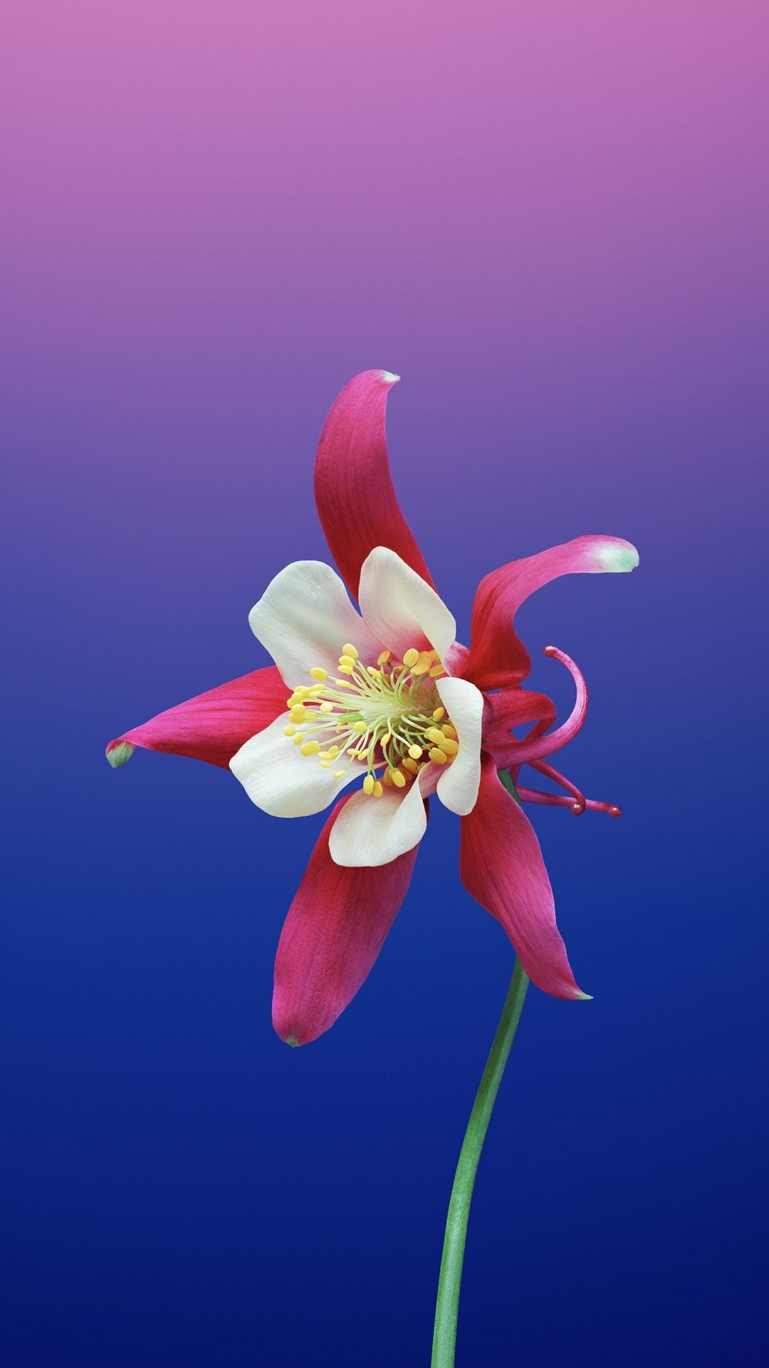 Ipad, Apple, IOS11, 苹果, Ios 壁纸 1080x1920 允许