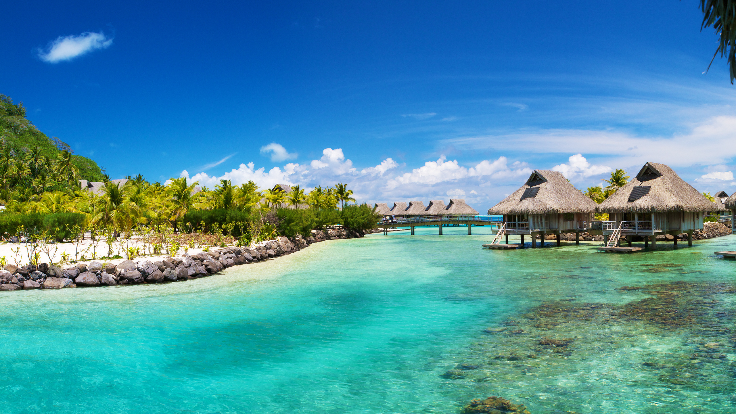 Maison en Bois Marron Près D'arbres Verts et D'un Plan D'eau Pendant la Journée. Wallpaper in 2560x1440 Resolution