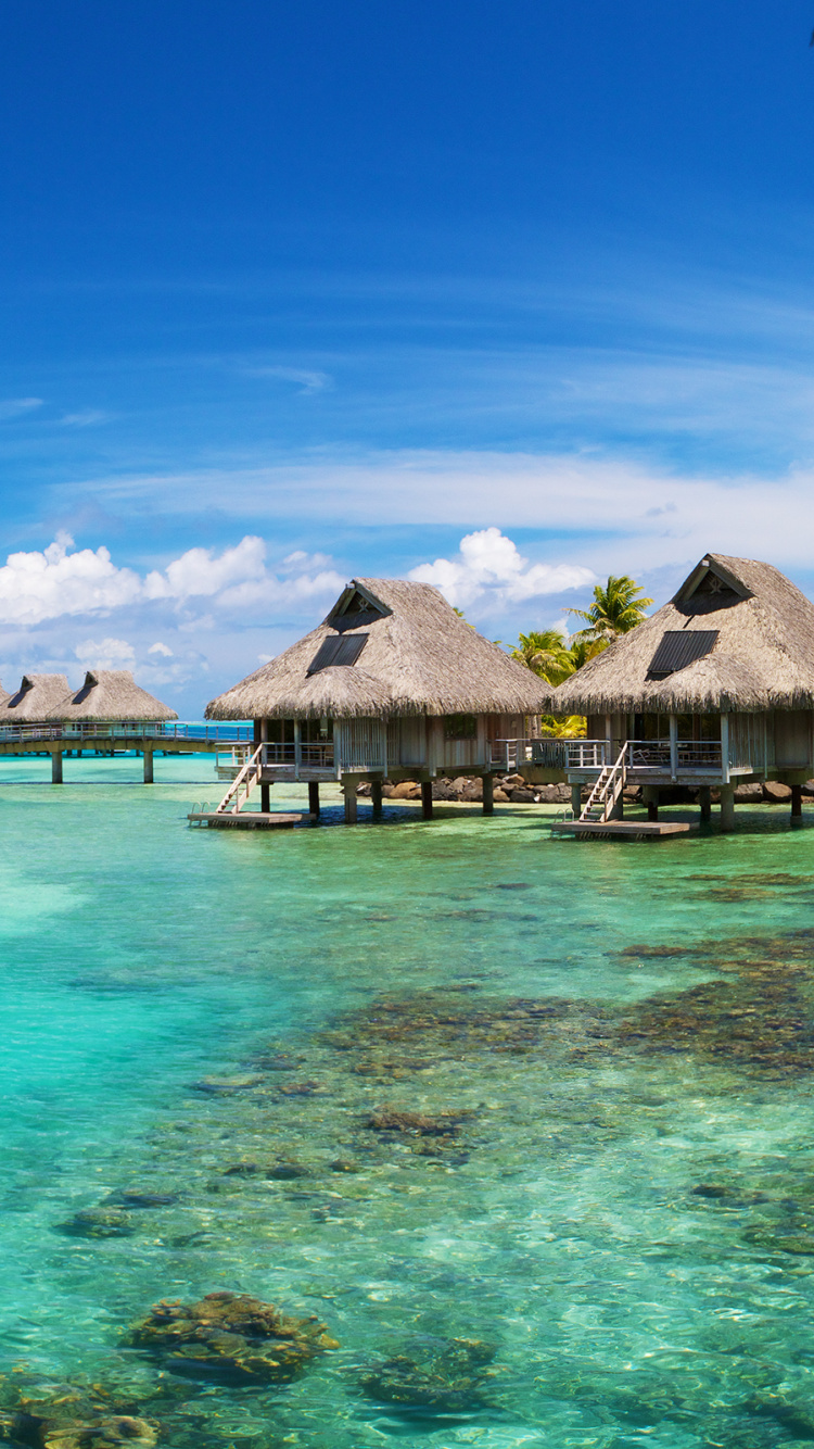 Maison en Bois Marron Près D'arbres Verts et D'un Plan D'eau Pendant la Journée. Wallpaper in 750x1334 Resolution