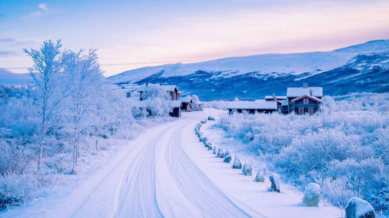 Snow Covered House Near Trees During Daytime. Wallpaper in 1280x720 Resolution