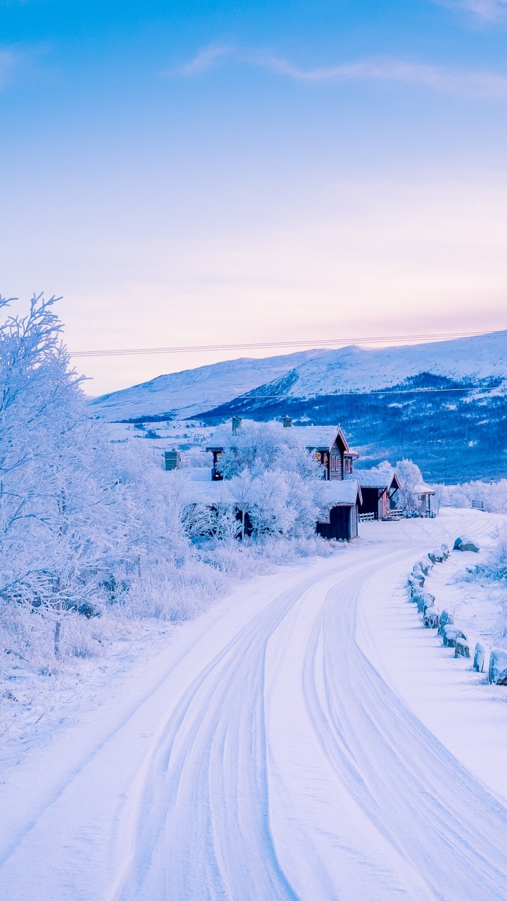 Snow Covered House Near Trees During Daytime. Wallpaper in 720x1280 Resolution