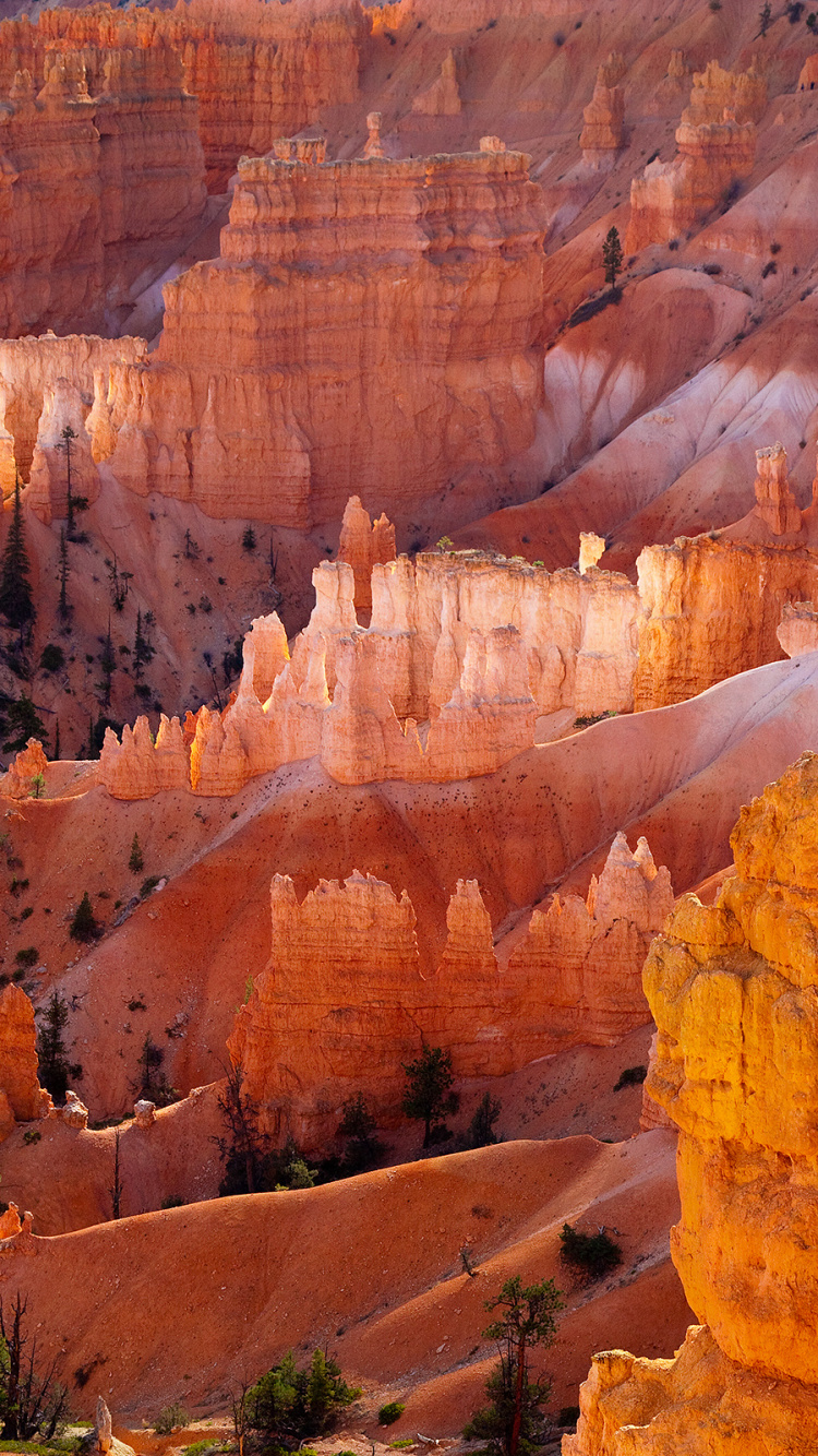 Brown Rock Formation During Daytime. Wallpaper in 750x1334 Resolution