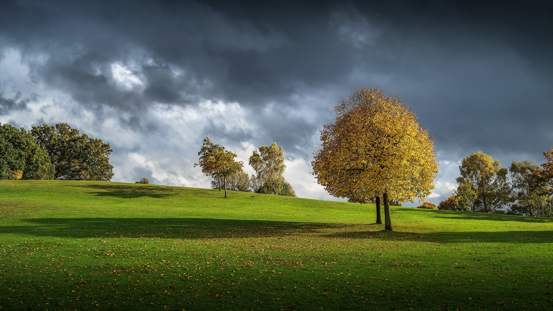 Campo de Hierba Verde Con Árboles Bajo un Cielo Azul y Nubes Blancas Durante el Día. Wallpaper in 1920x1080 Resolution