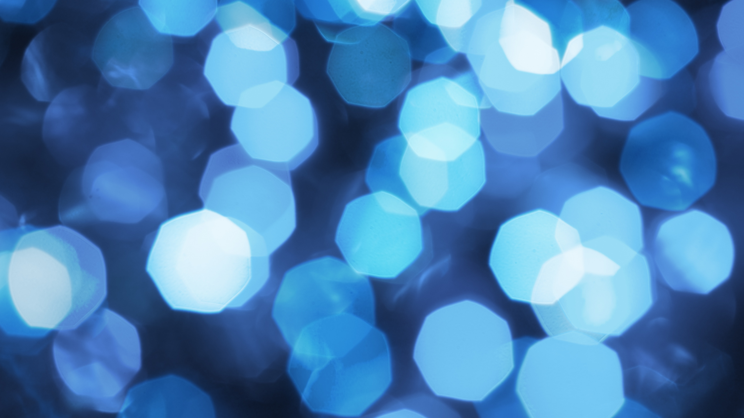 White and Brown Polka Dot Textile. Wallpaper in 2560x1440 Resolution