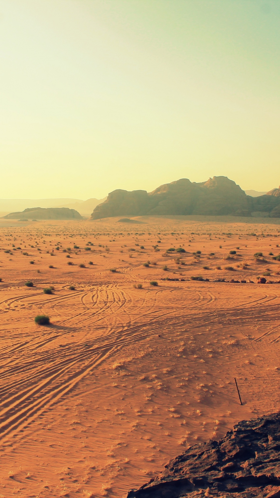 Brown Sand Field During Daytime. Wallpaper in 1080x1920 Resolution