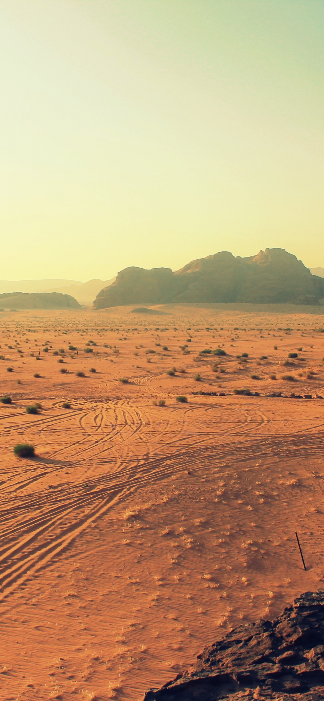 Brown Sand Field During Daytime. Wallpaper in 1125x2436 Resolution