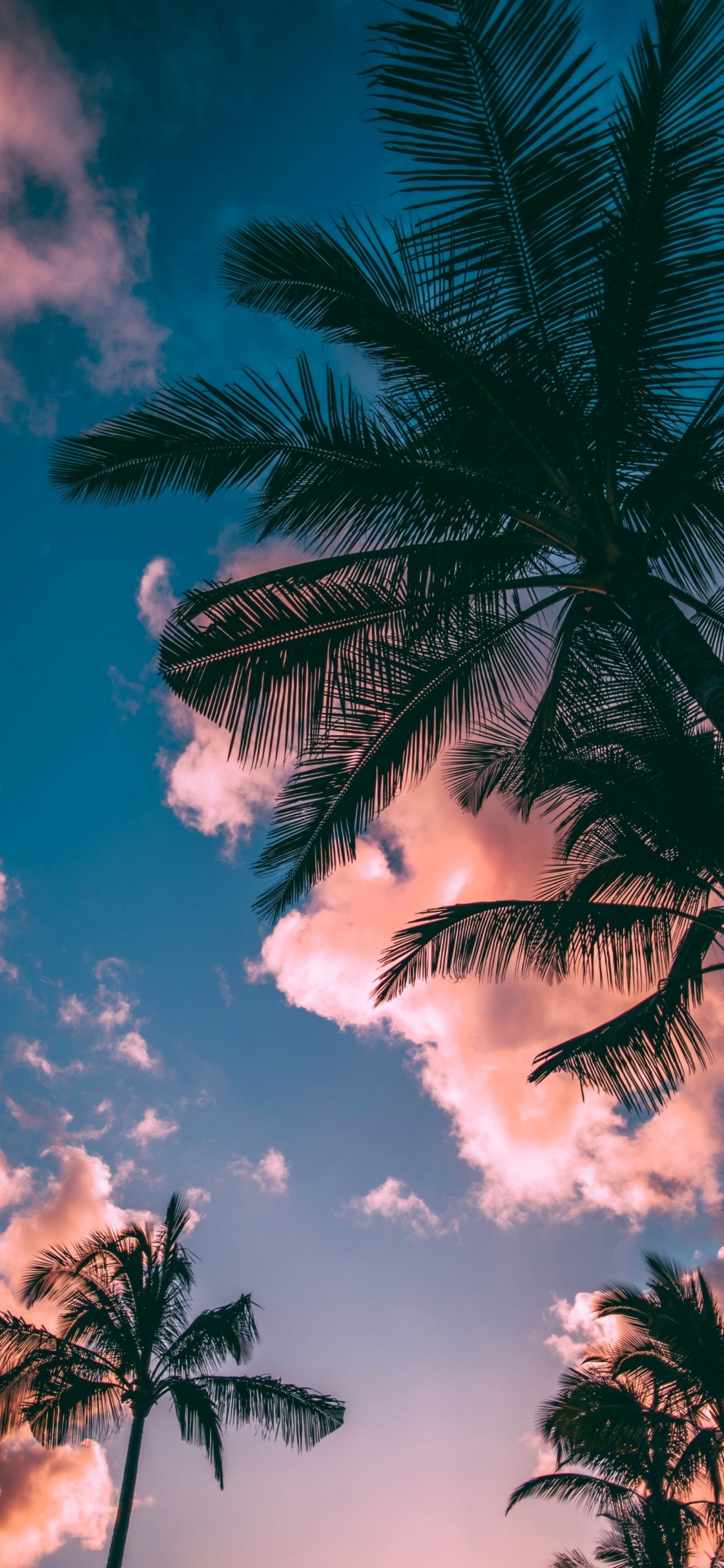 Summer, Cloud, Atmosphere, Nature, Blue. Wallpaper in 1242x2688 Resolution