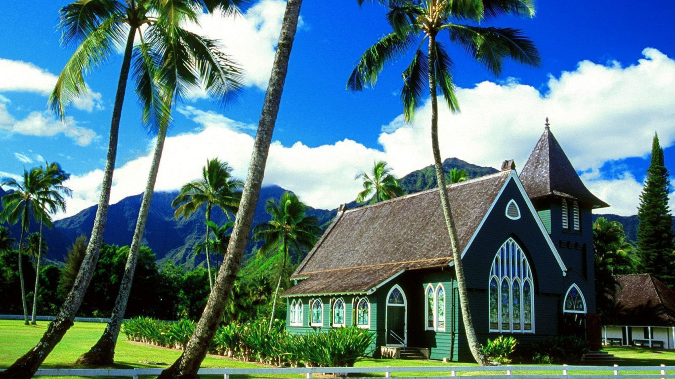 Brown and White Wooden House Near Palm Tree Under Blue Sky During Daytime. Wallpaper in 1366x768 Resolution