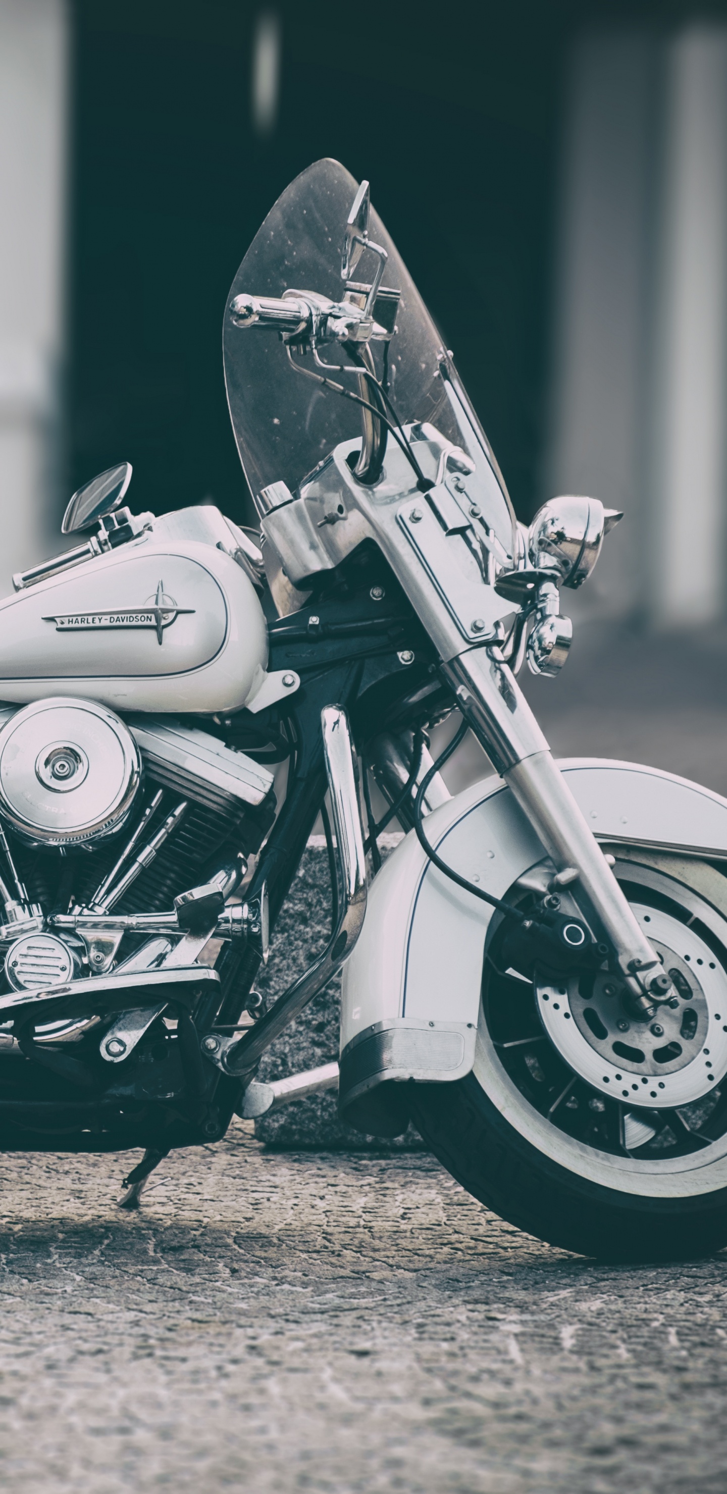 Foto en Escala de Grises de la Motocicleta Cruiser. Wallpaper in 1440x2960 Resolution