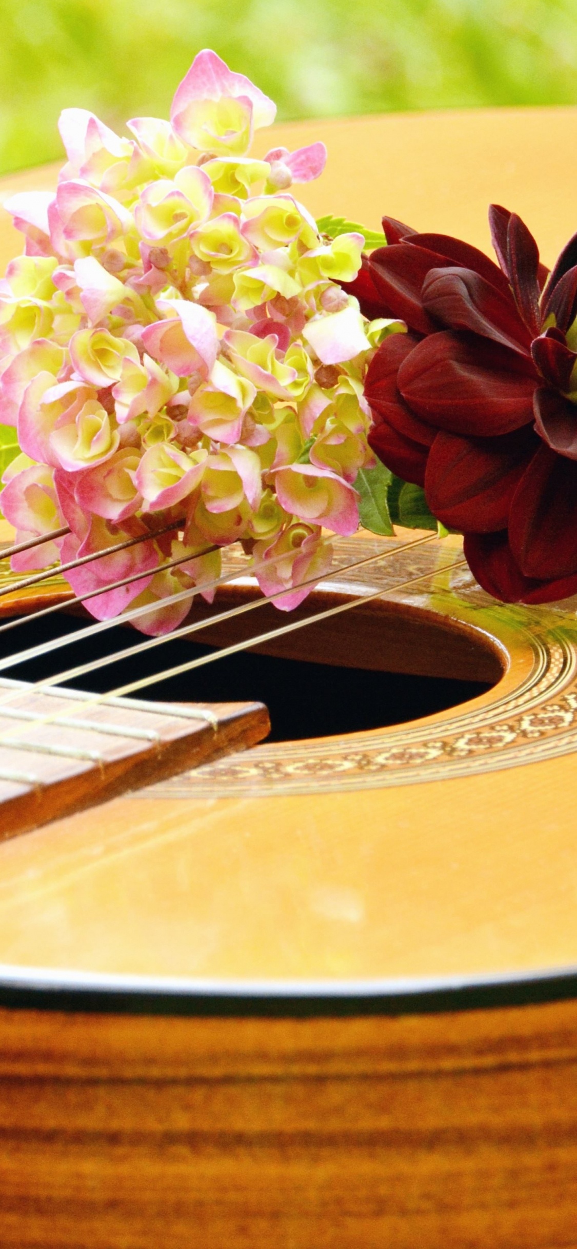 Guitar, String Instrument, Plucked String Instruments, Musical Instrument, Cuatro. Wallpaper in 1125x2436 Resolution