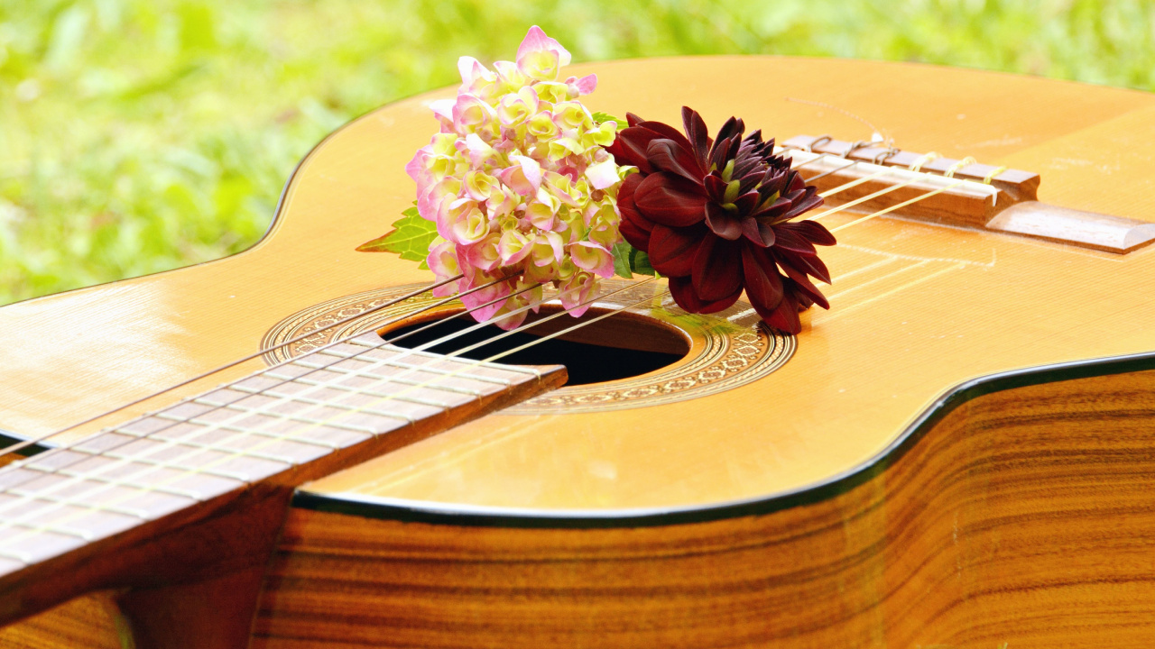 Guitar, String Instrument, Plucked String Instruments, Musical Instrument, Cuatro. Wallpaper in 1280x720 Resolution