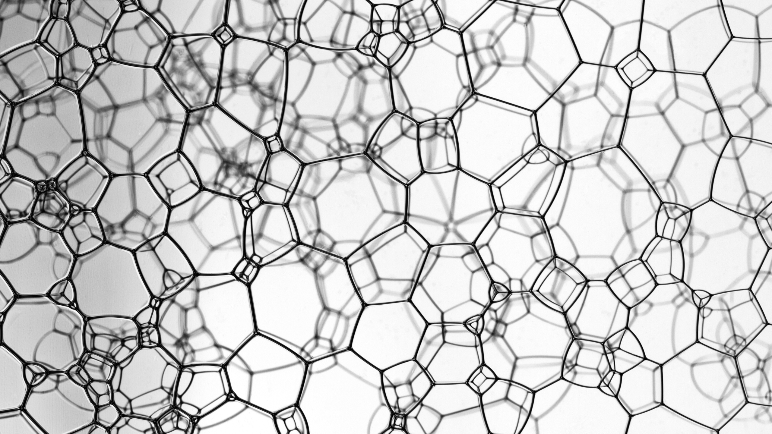 Grayscale Photo of Chain Link Fence. Wallpaper in 2560x1440 Resolution