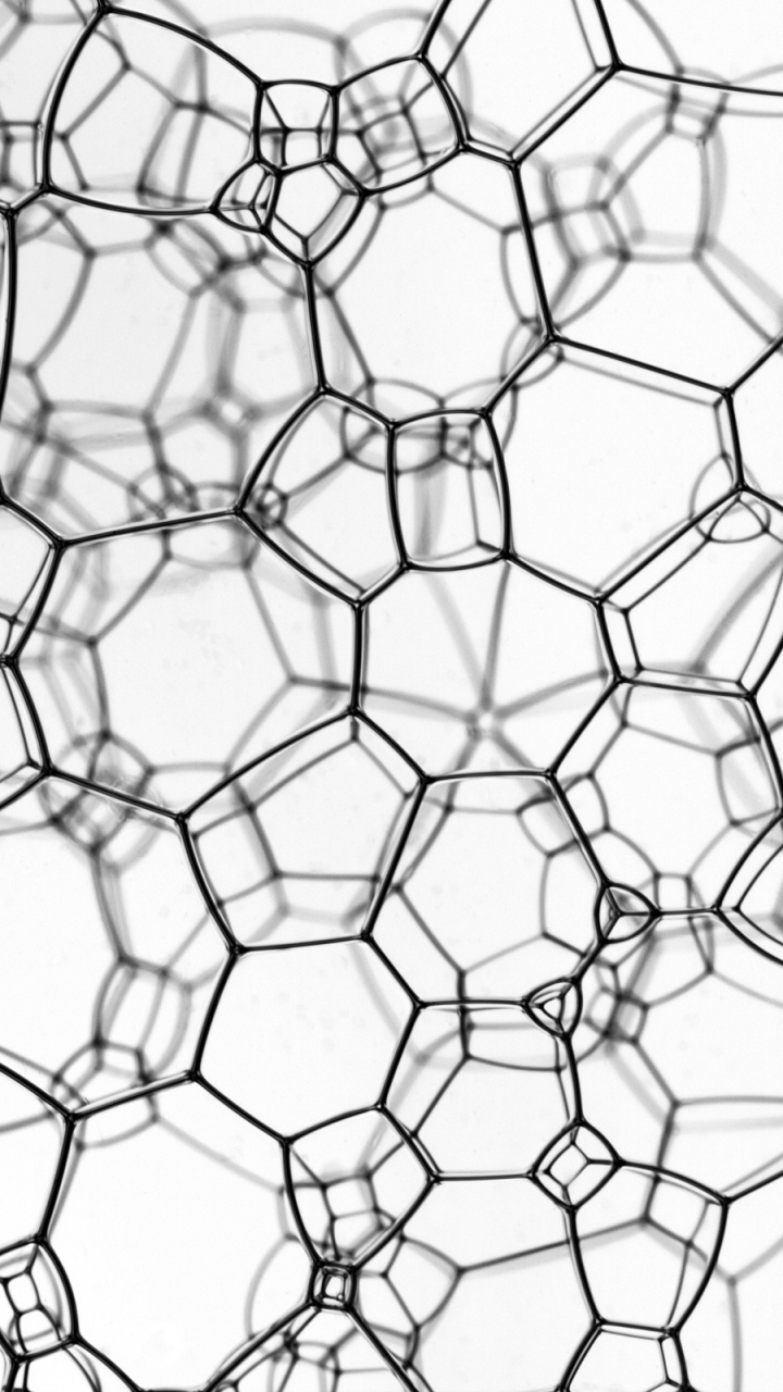 Grayscale Photo of Chain Link Fence. Wallpaper in 720x1280 Resolution