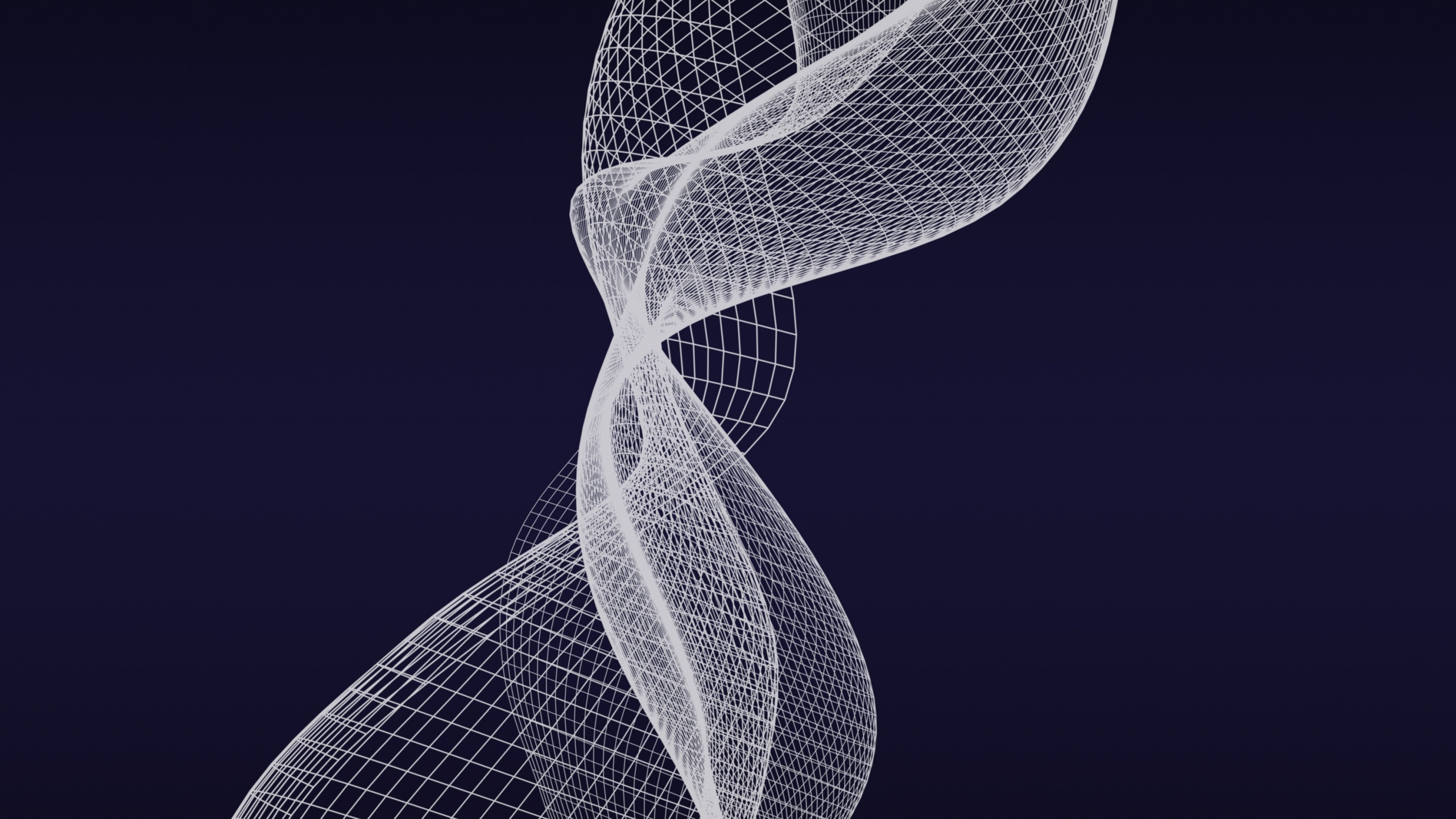 Textil a Cuadros Blanco y Negro. Wallpaper in 2560x1440 Resolution