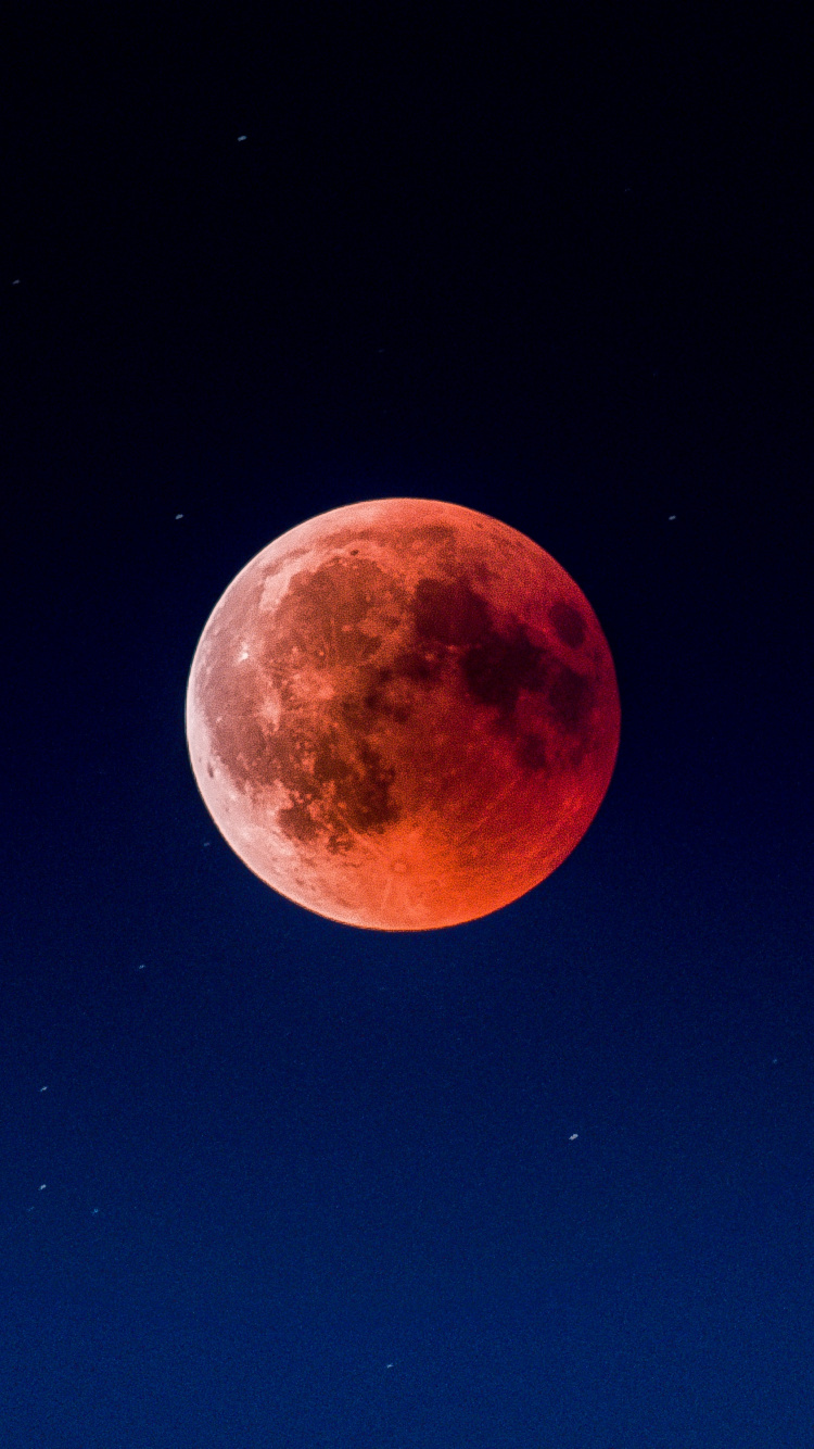 Full Moon in The Sky. Wallpaper in 750x1334 Resolution