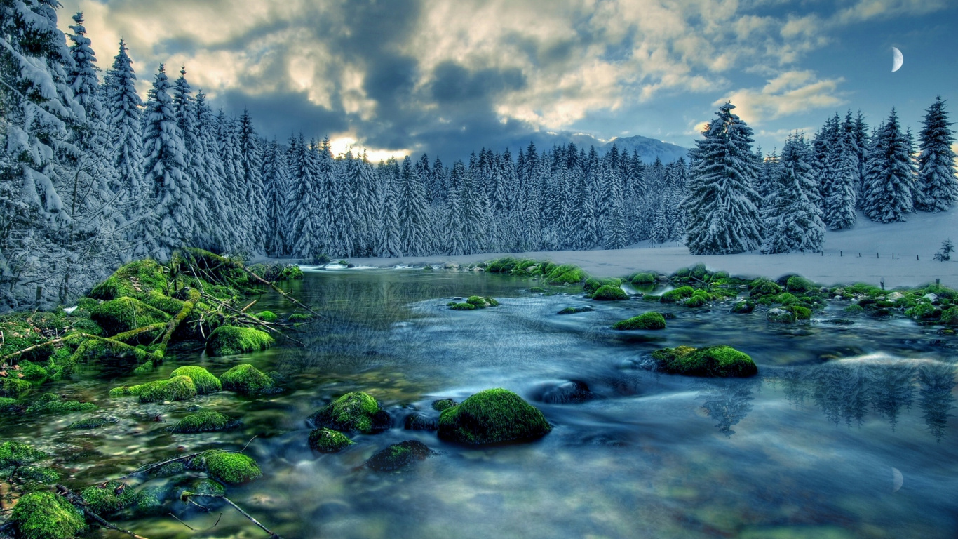 Green Trees Covered With Snow Near Body of Water Under White Clouds During Daytime. Wallpaper in 1366x768 Resolution