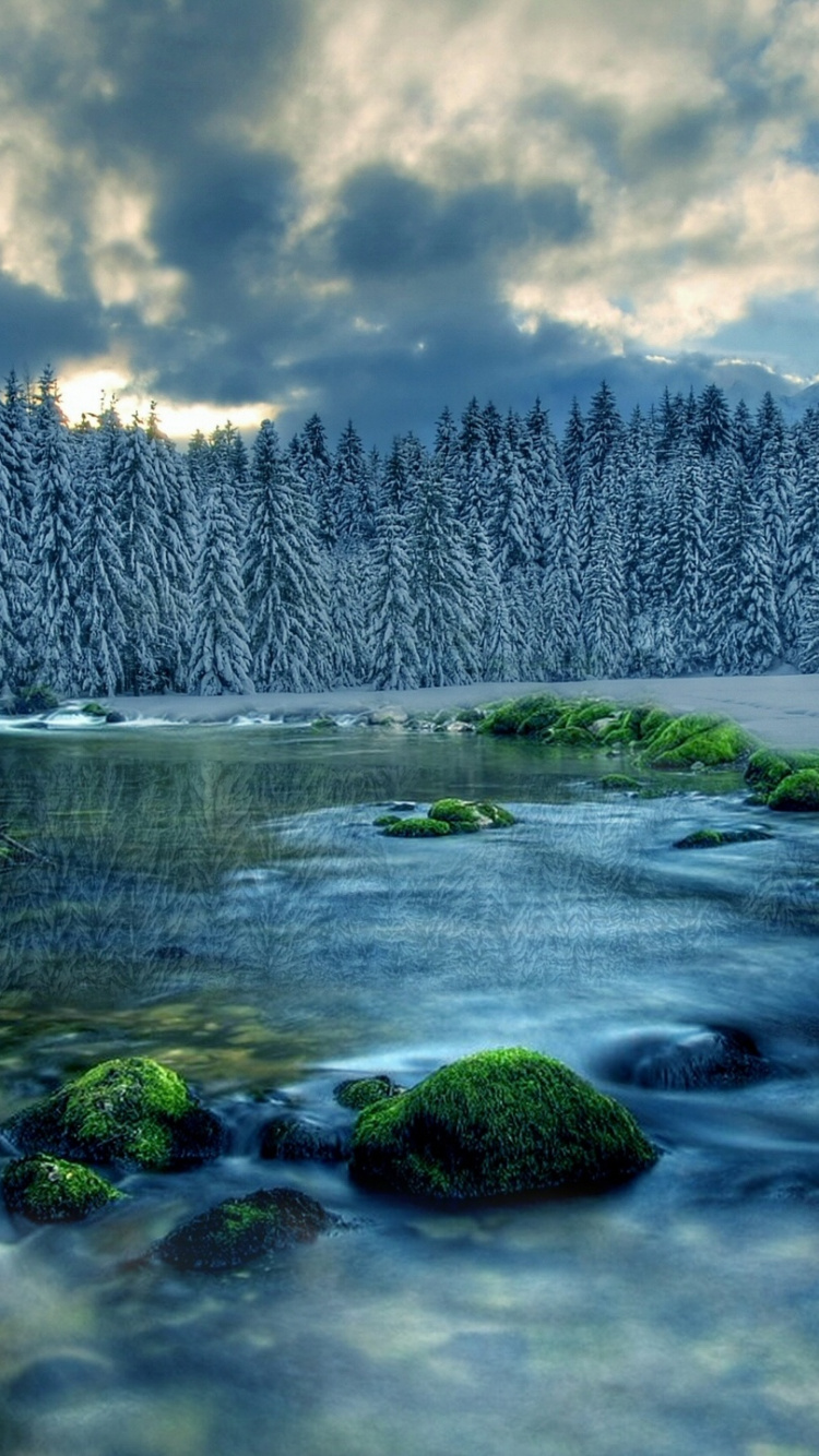 Green Trees Covered With Snow Near Body of Water Under White Clouds During Daytime. Wallpaper in 750x1334 Resolution