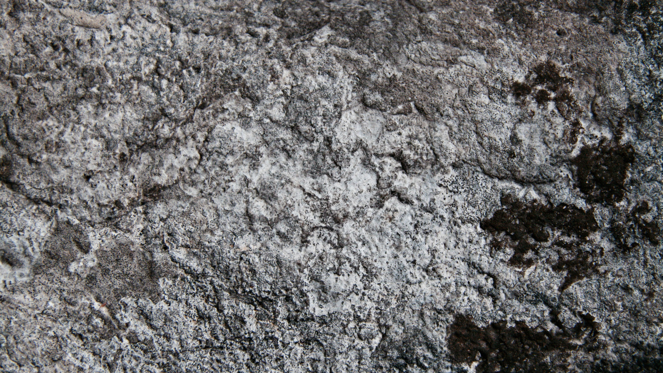 Fragment de Pierre Grise et Noire. Wallpaper in 1366x768 Resolution