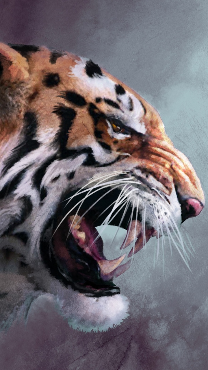 Peinture de Tigre Brun Blanc et Noir. Wallpaper in 720x1280 Resolution