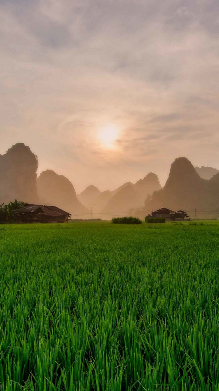 Champ, Smartphone, Nature, Paysage Naturel, Les Reliefs Montagneux. Wallpaper in 750x1334 Resolution