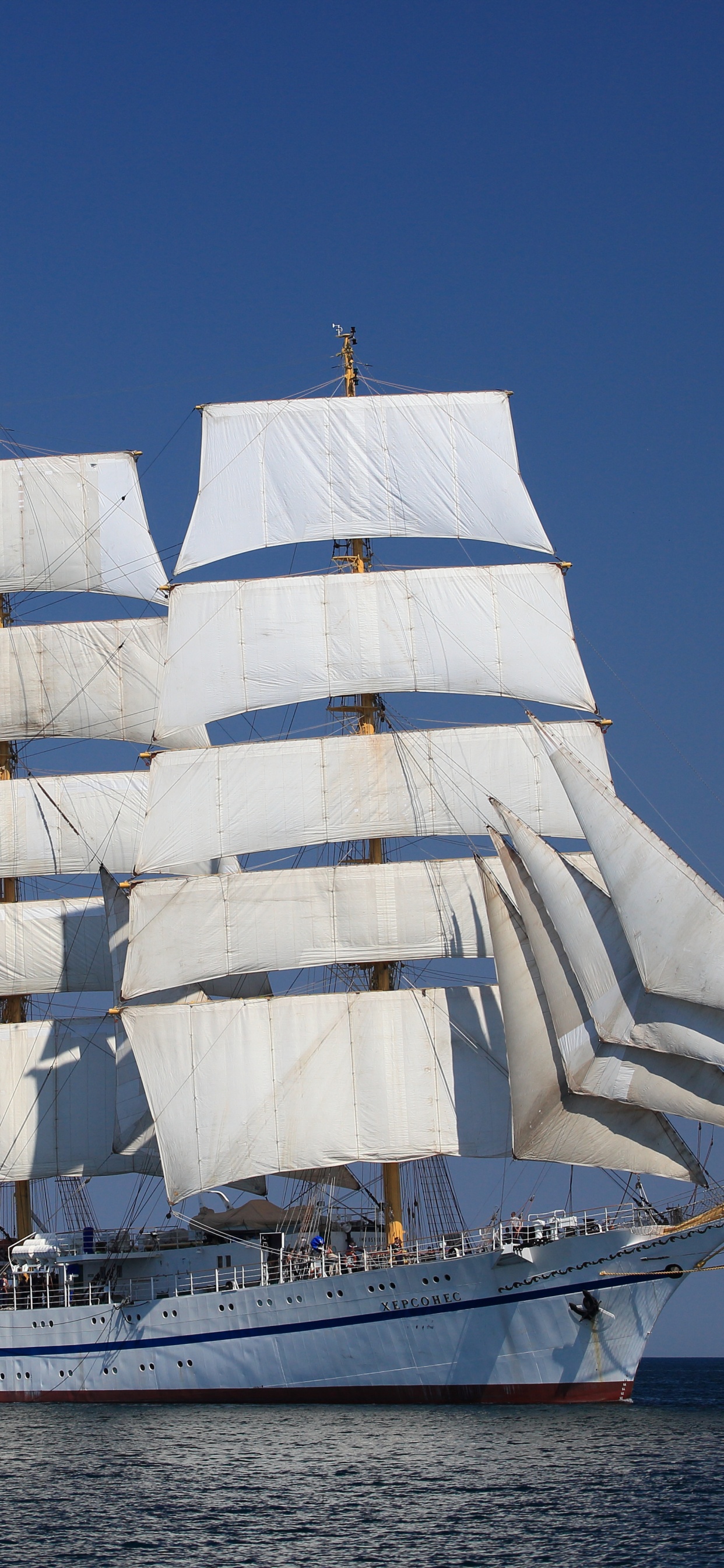 Velero Blanco en el Mar Bajo un Cielo Azul Durante el Día. Wallpaper in 1242x2688 Resolution