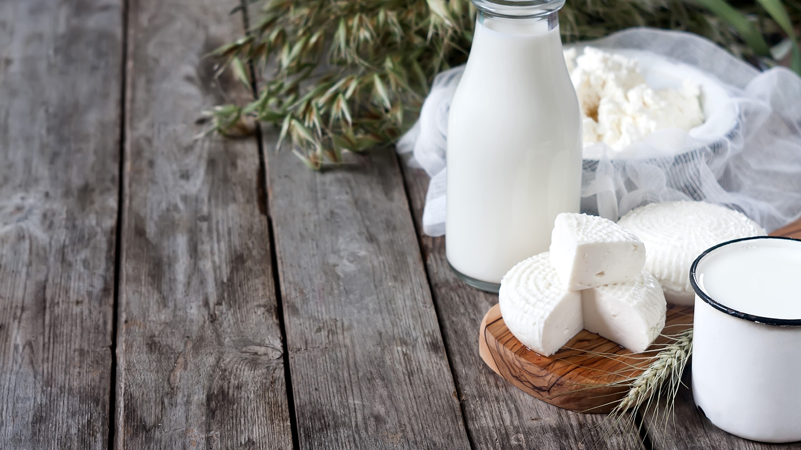 牛奶, 瓶, 食品, 牙科, 健康 壁纸 2560x1440 允许