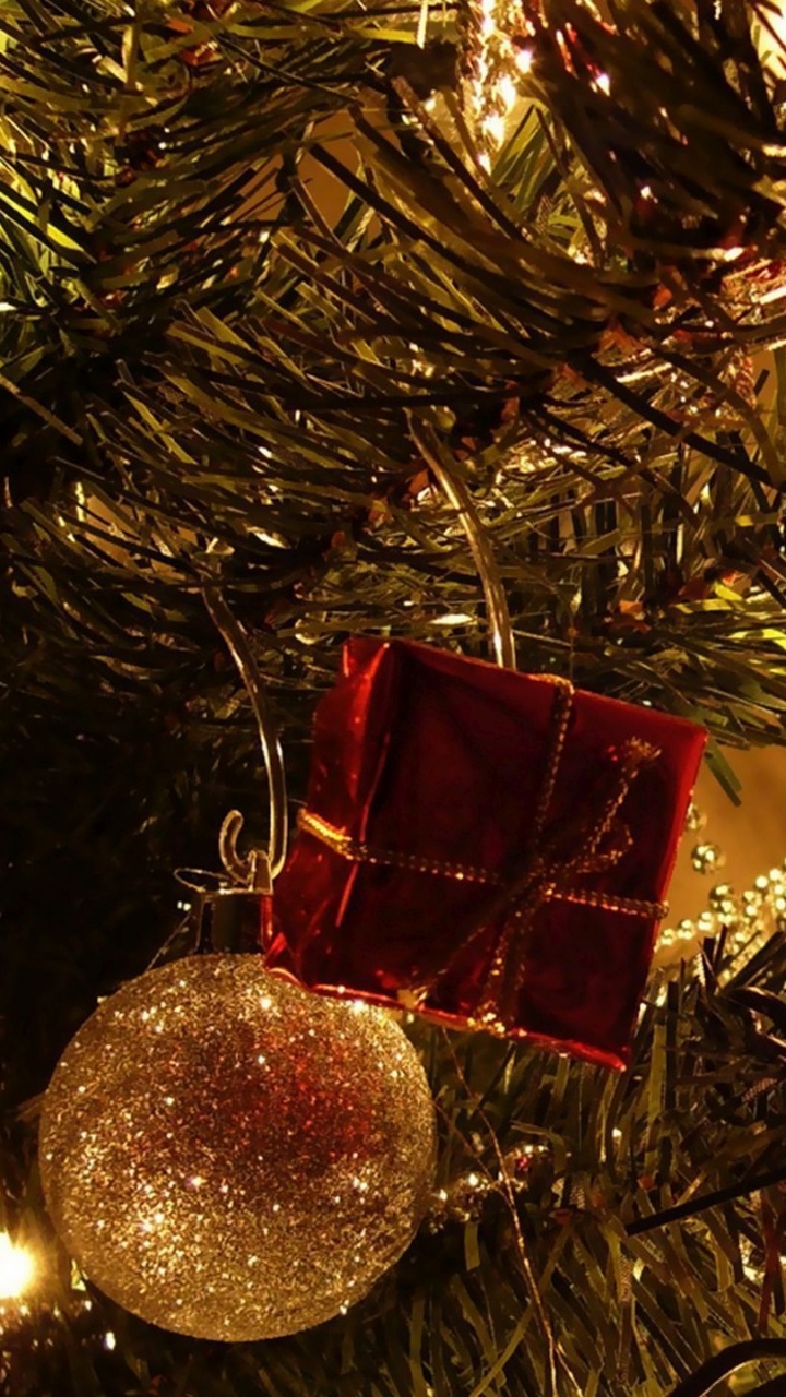 Weihnachtsbaum, Christmas Ornament, Weihnachtsdekoration, Weihnachtsbeleuchtung, Fichte. Wallpaper in 720x1280 Resolution