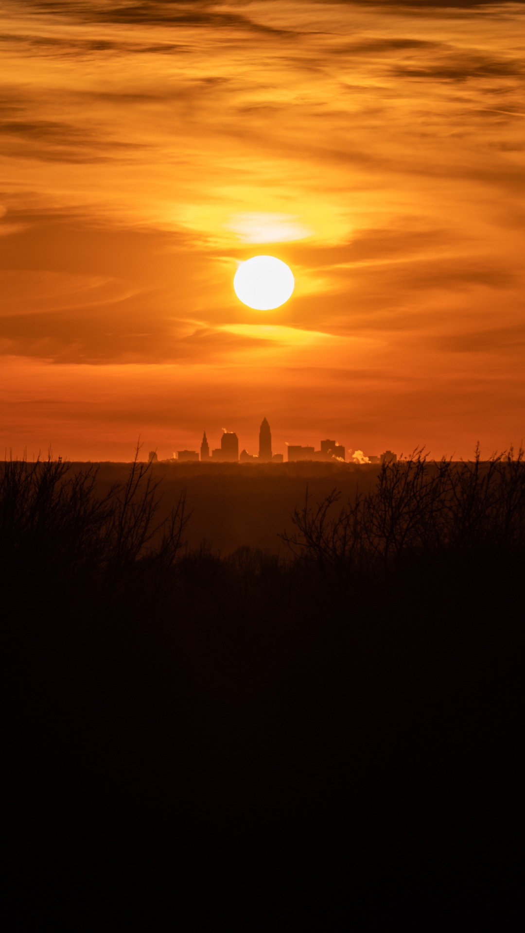 Silhouette of Grass During Sunset. Wallpaper in 1080x1920 Resolution