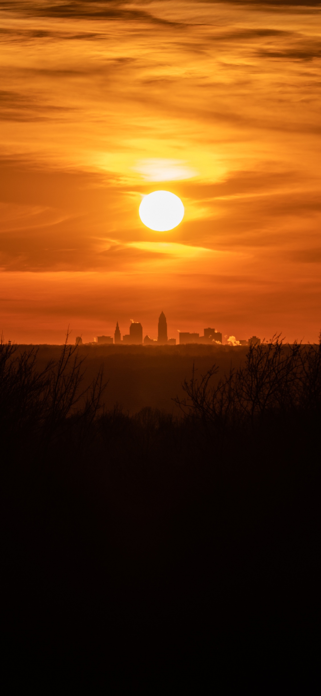 Silhouette of Grass During Sunset. Wallpaper in 1125x2436 Resolution