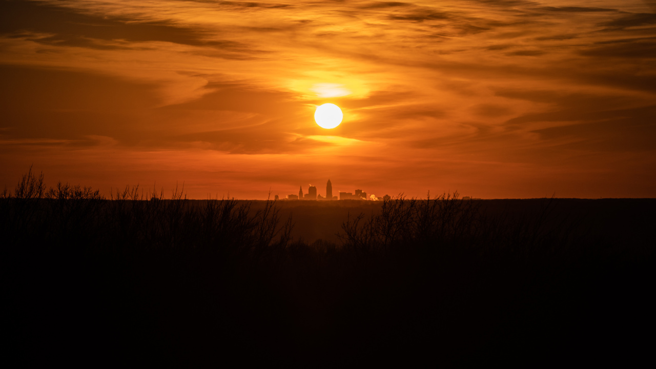 Silhouette of Grass During Sunset. Wallpaper in 1280x720 Resolution