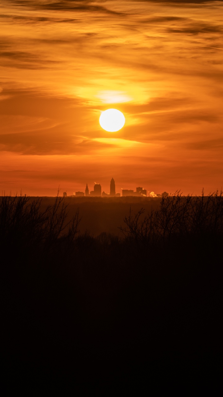 Silhouette of Grass During Sunset. Wallpaper in 720x1280 Resolution