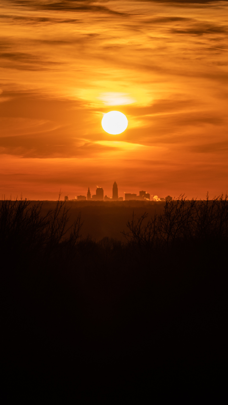 Silhouette of Grass During Sunset. Wallpaper in 750x1334 Resolution