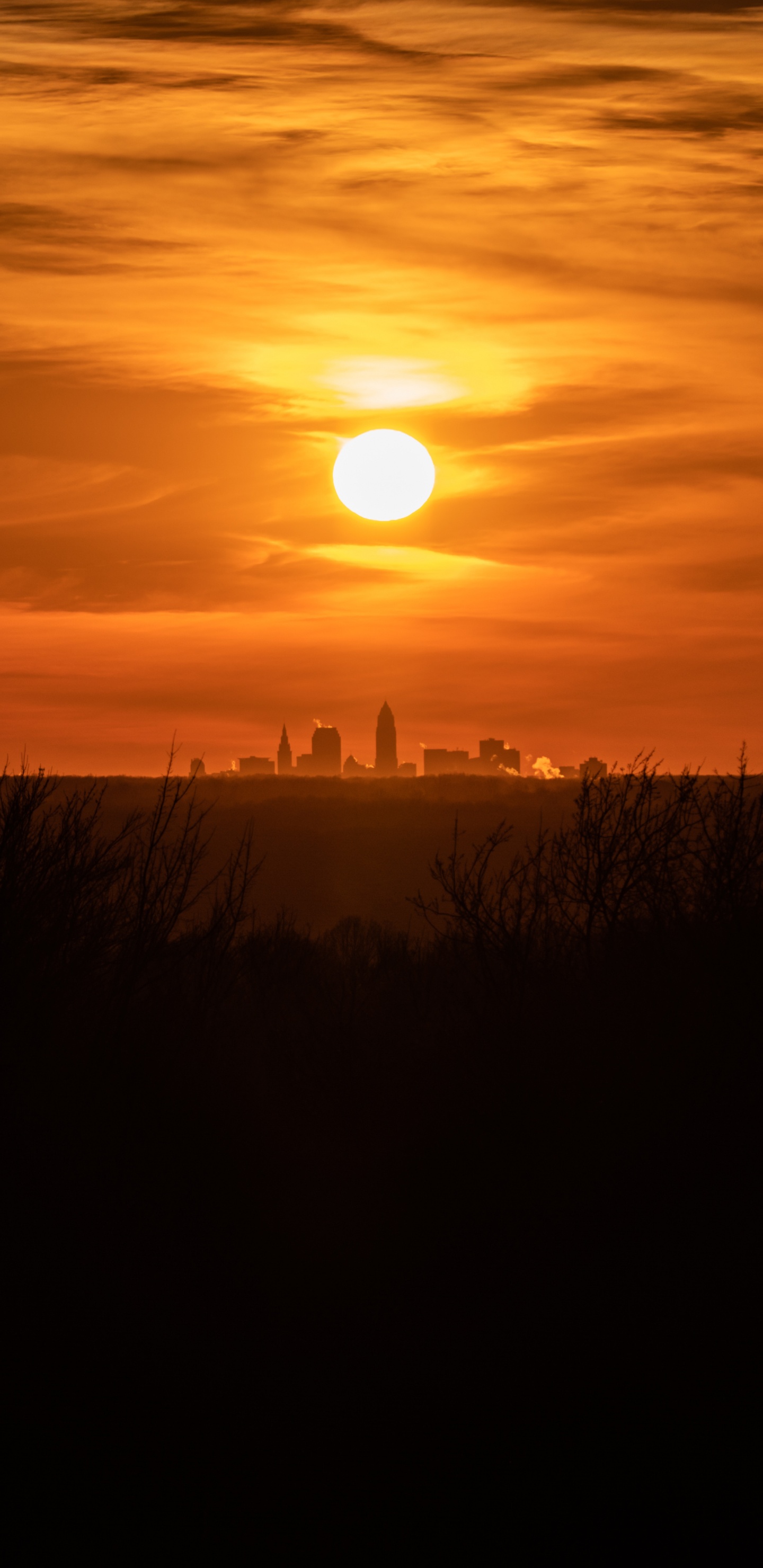 Silhouette D'herbe Pendant le Coucher du Soleil. Wallpaper in 1440x2960 Resolution