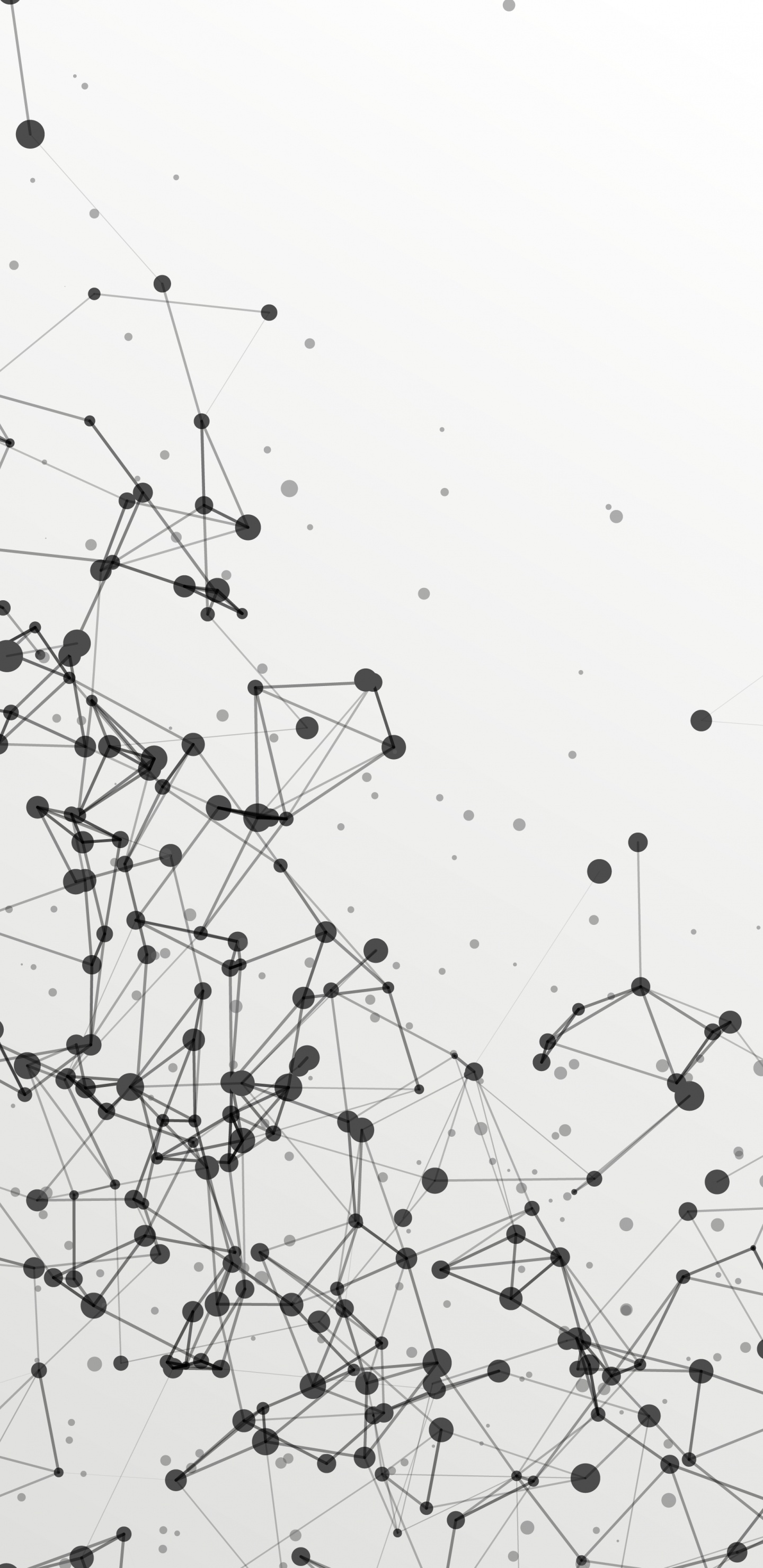 Art, Cercle, Monochrome, Pente, Événement. Wallpaper in 1440x2960 Resolution