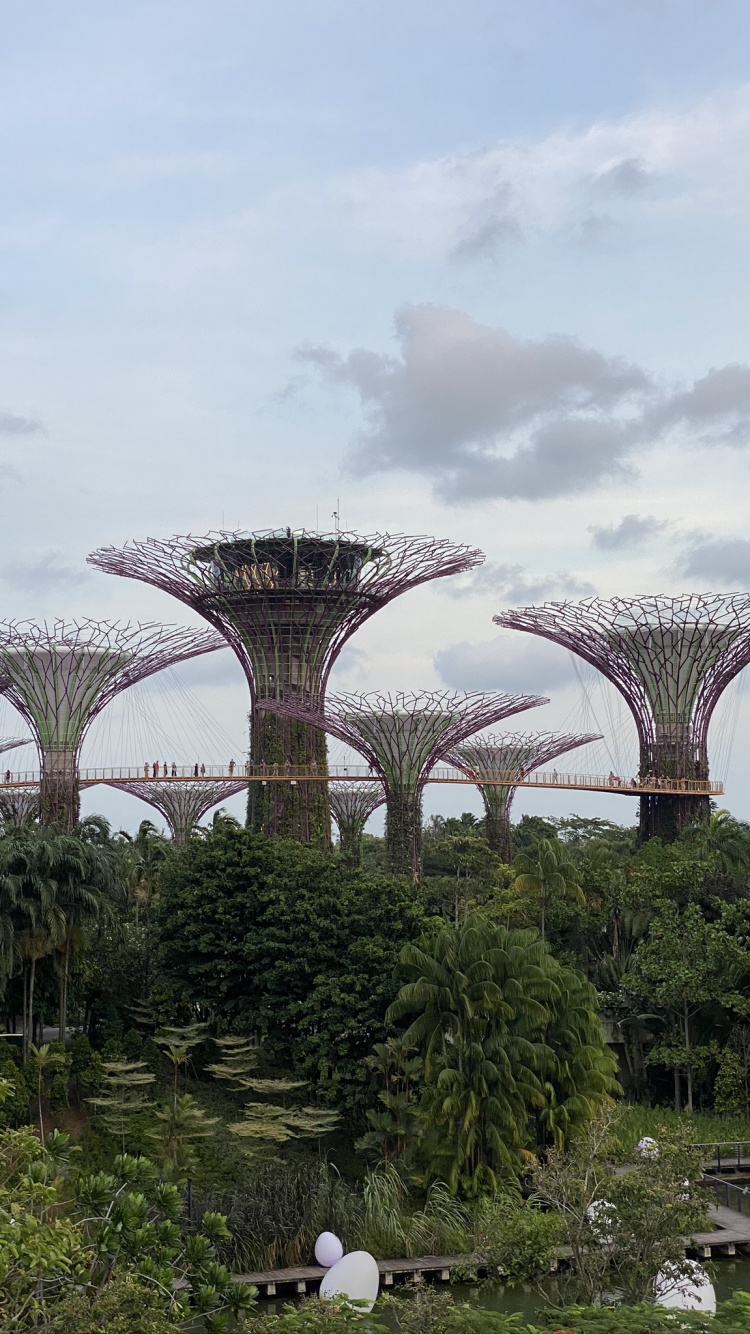 Singapur, Yachthafen Stadtpark, Gardens by The Bay, Marina Bay Sands Singapore, Park. Wallpaper in 750x1334 Resolution