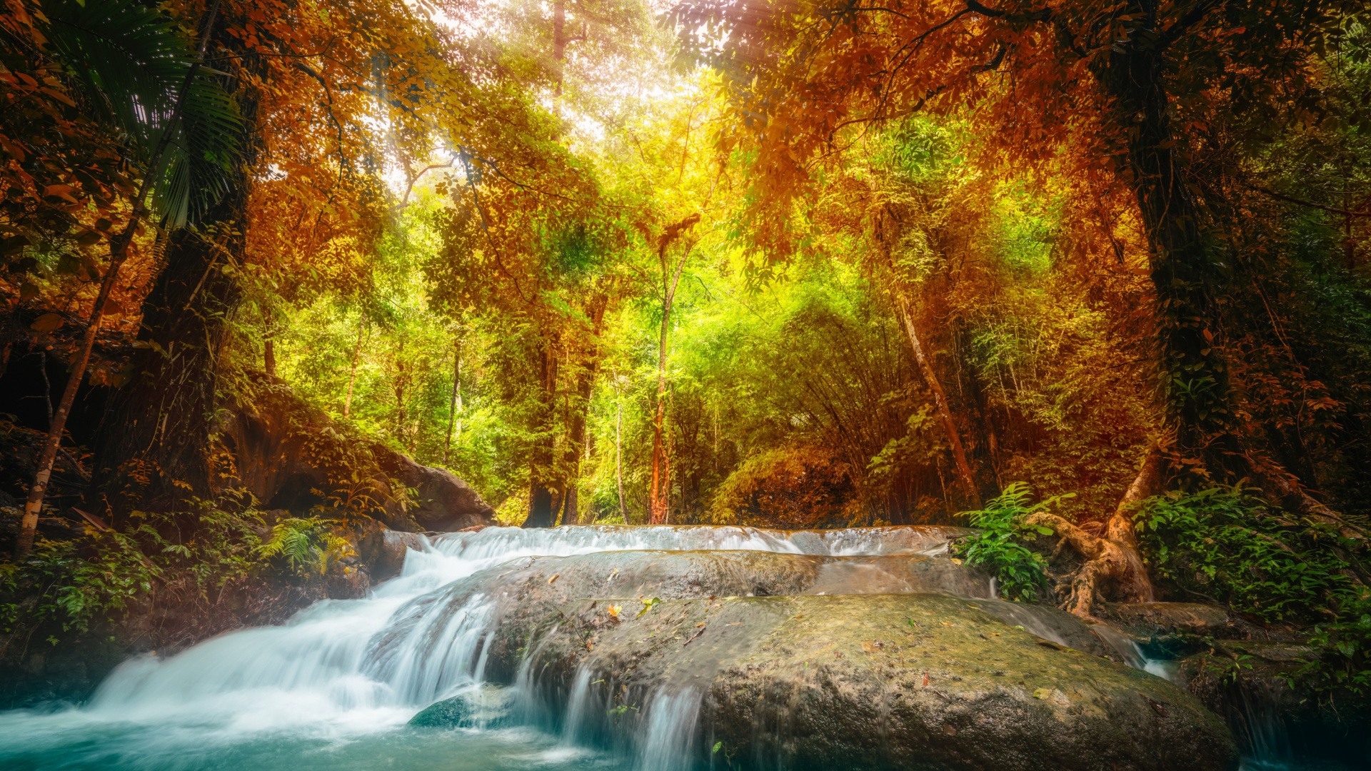 Water Falls in The Middle of The Forest. Wallpaper in 1920x1080 Resolution