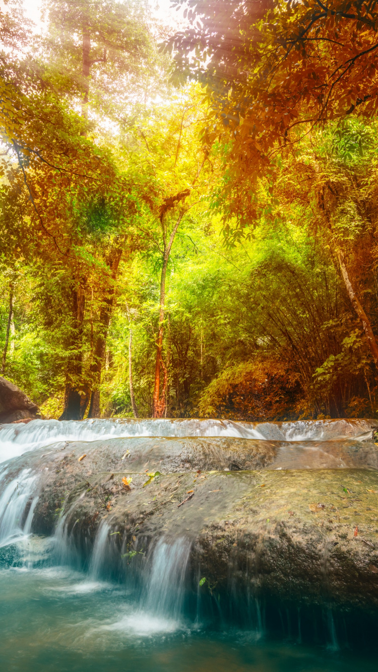 Water Falls in The Middle of The Forest. Wallpaper in 750x1334 Resolution