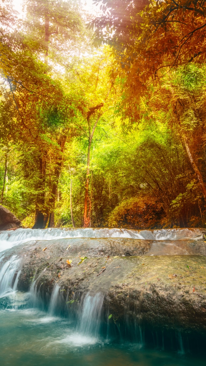 el Agua Cae en Medio Del Bosque. Wallpaper in 720x1280 Resolution