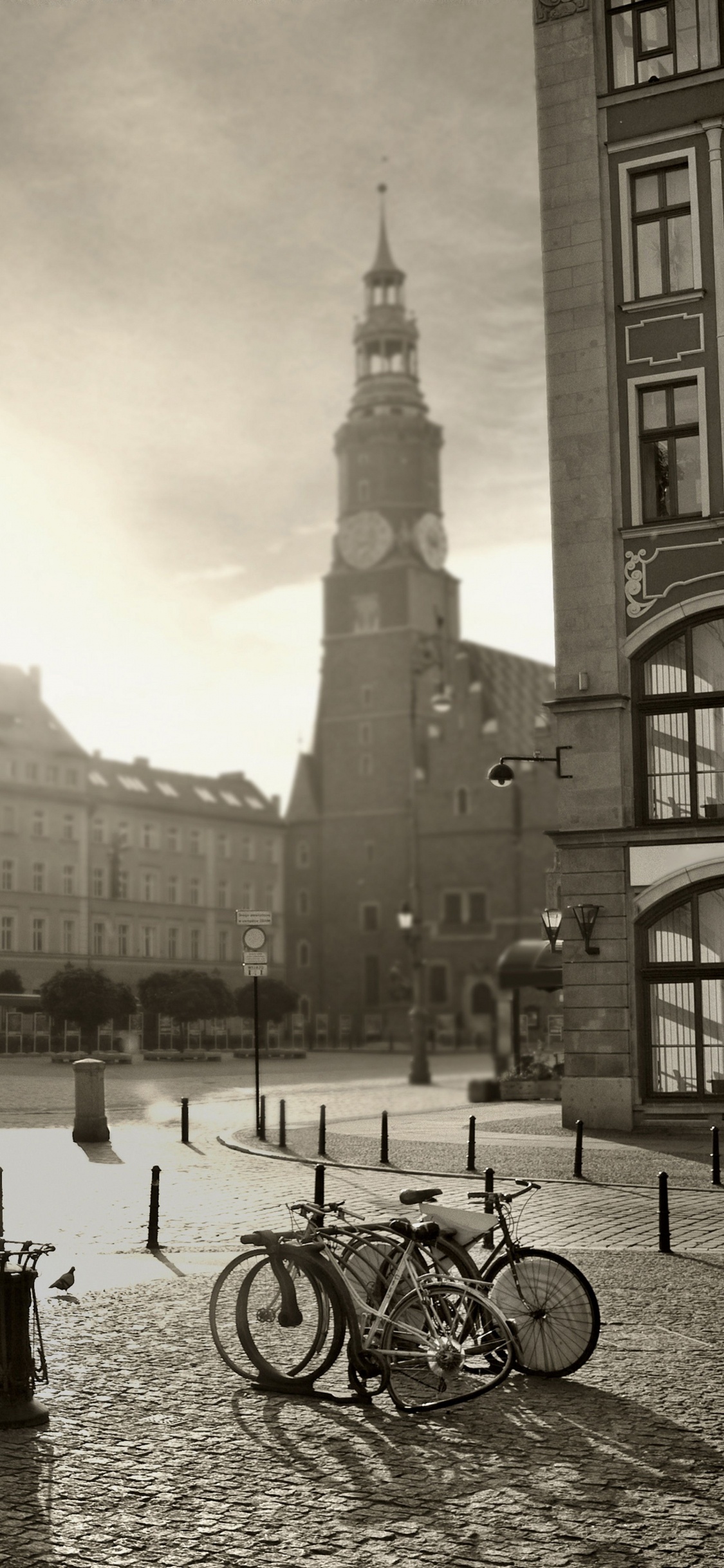 Foto en Escala de Grises de Los Edificios de la Ciudad. Wallpaper in 1125x2436 Resolution