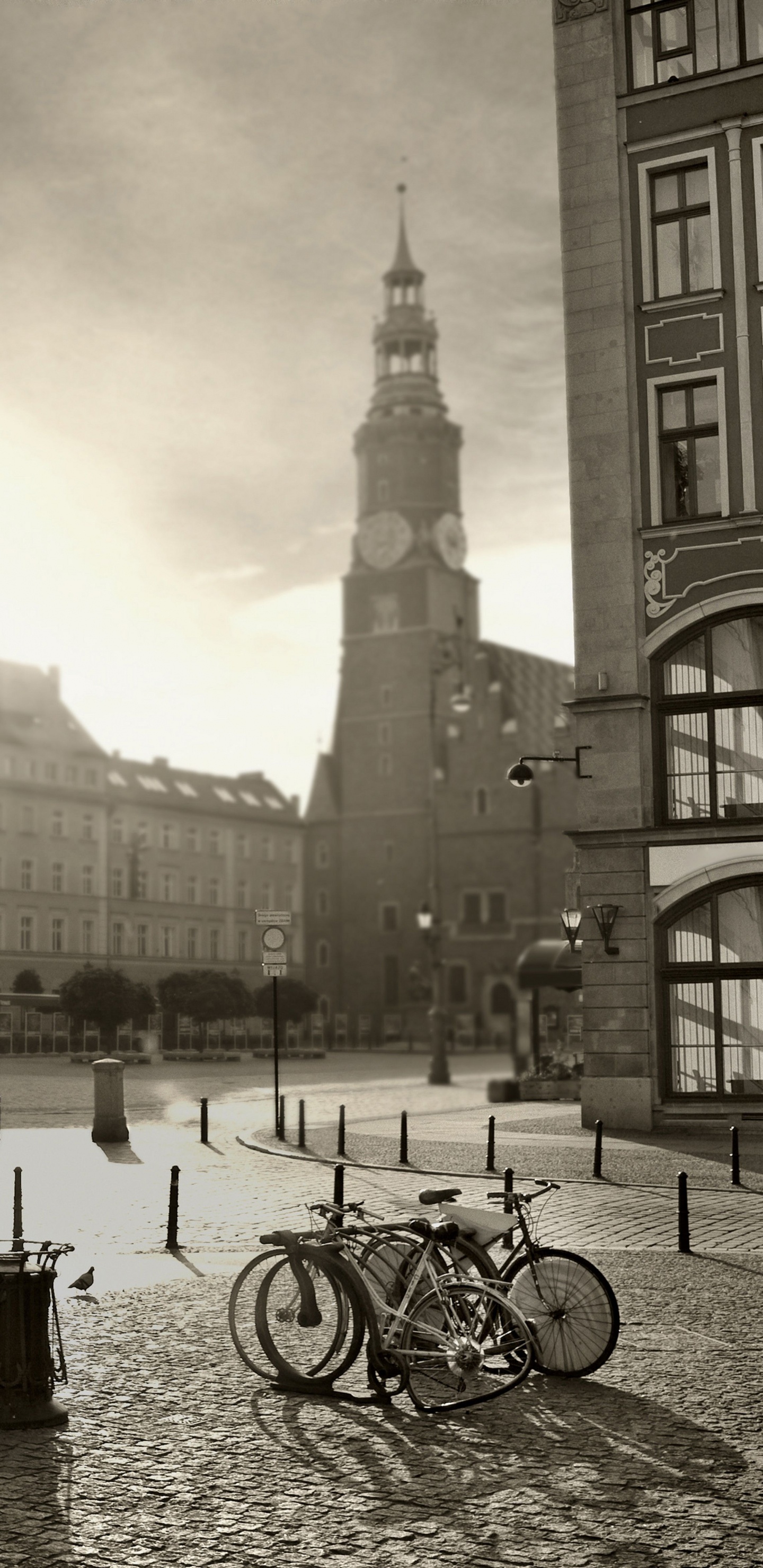 Graustufenfoto Von Stadtgebäuden. Wallpaper in 1440x2960 Resolution